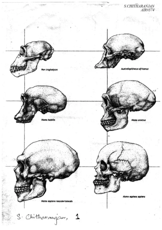 S. Chitranjan Anthropology Notes 2022 | 2 Booklets | English Medium | UPSC Study Material